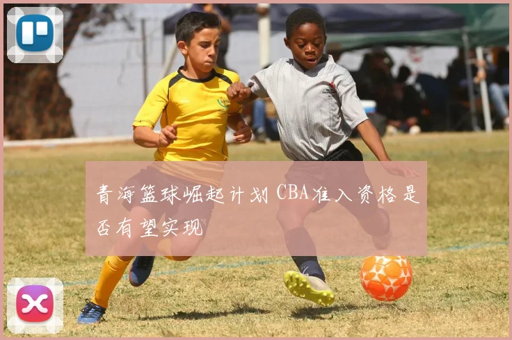 青海篮球崛起计划 CBA准入资格是否有望实现