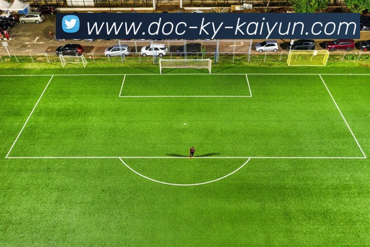 开云平台生态图